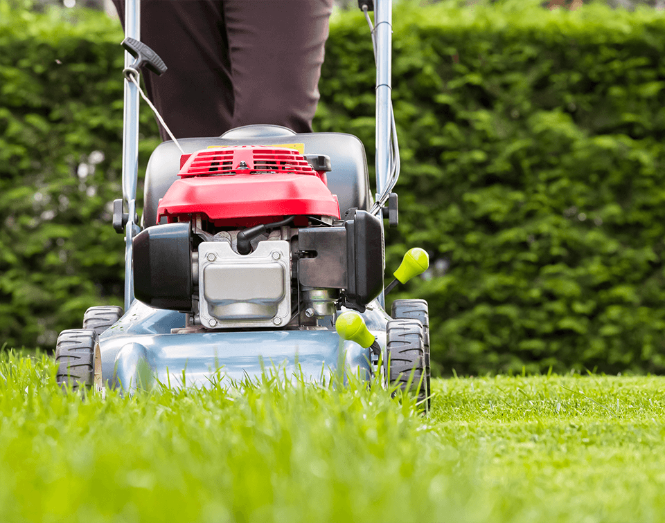 Lawn Care Services
